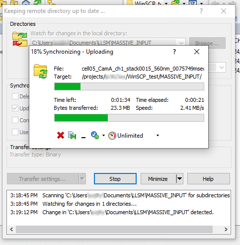 ../_images/WinSCP-Windows-to-MASSIVE.png