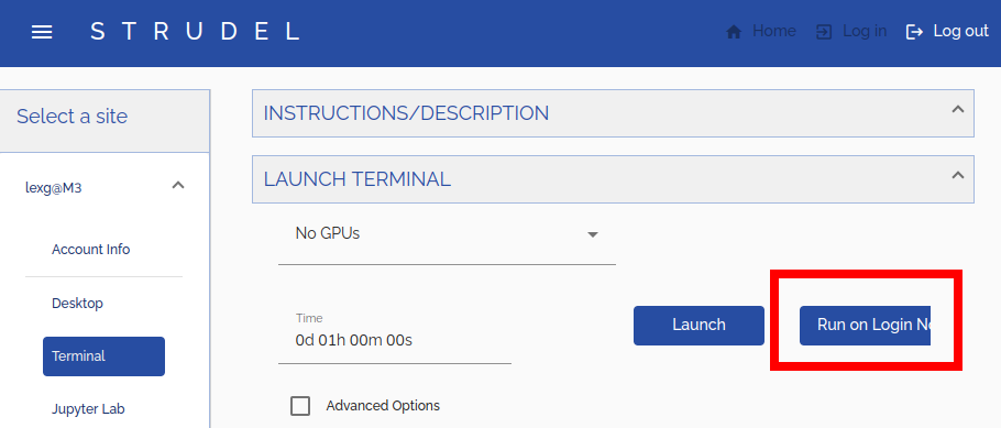 Screenshot of STRUDEL page with red rectangle around "Run on login node" button