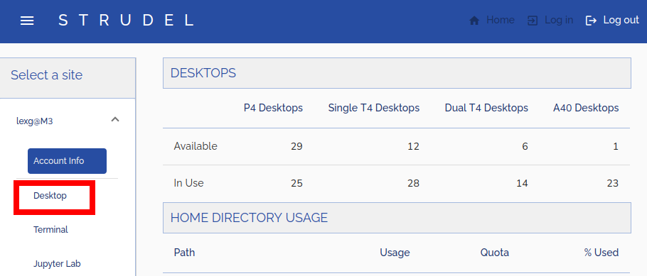 Screenshot of STRUDEL page with red rectangle around "Terminal" tab